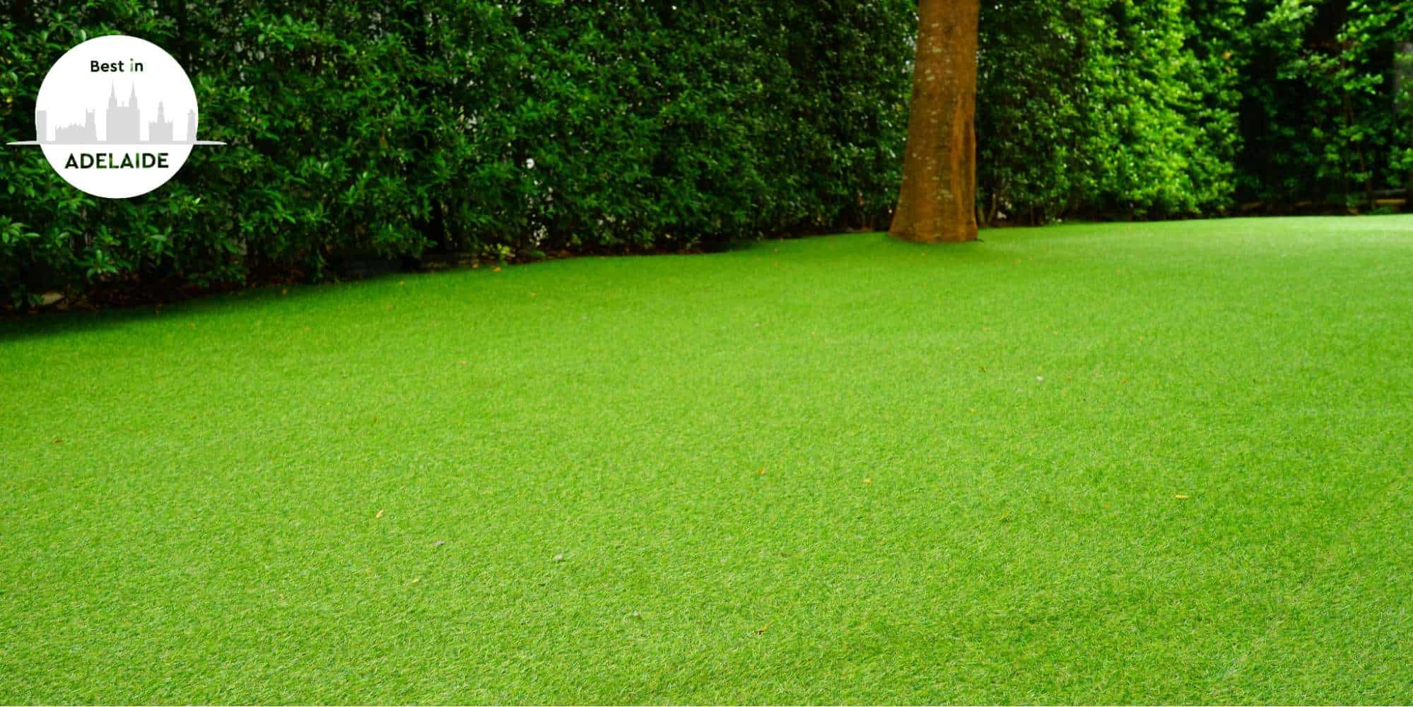 The 5 Best Artificial Grass Suppliers in Adelaide