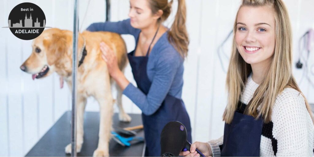 The 5 Best Dog Grooming Services in Adelaide