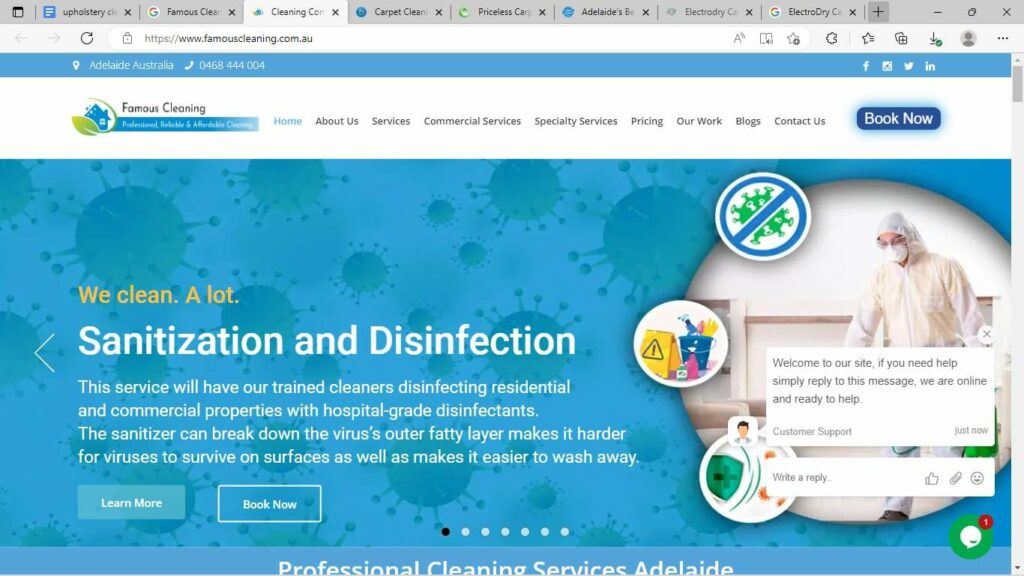 Famous Cleaning' Homepage