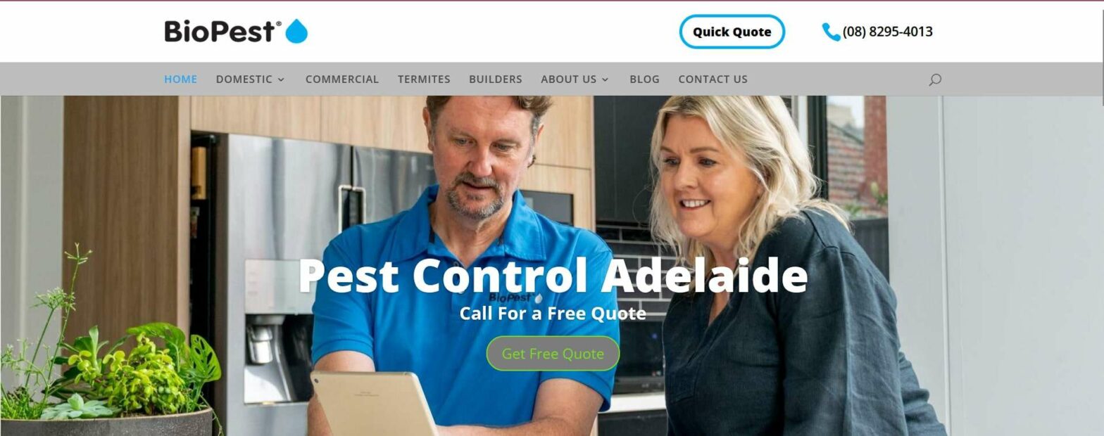 The 6 Best Termite Control Services in Adelaide [2026 ]