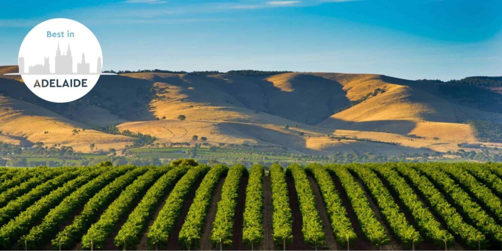 Is it easy to visit Adelaide’s wine country