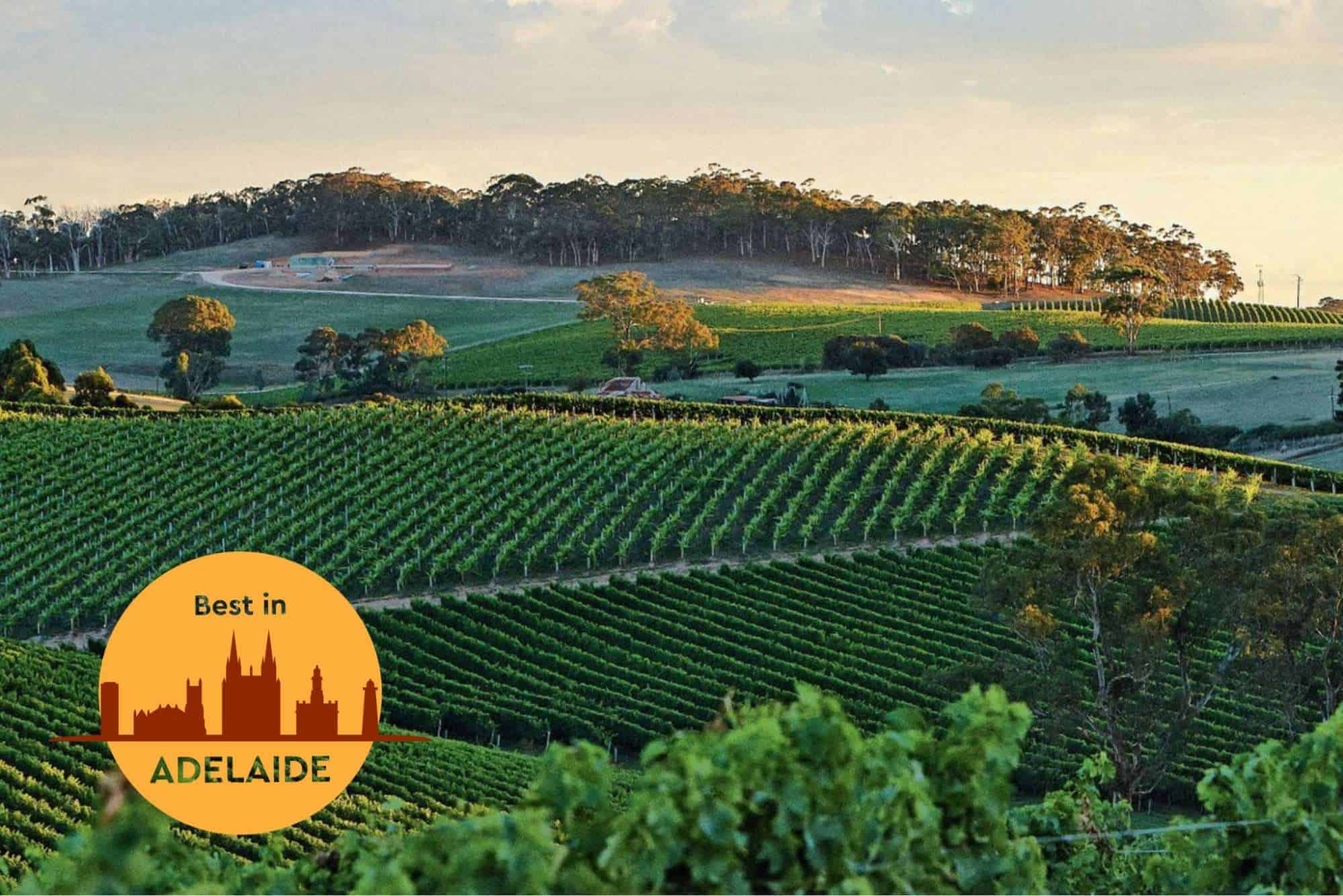 Things to Do around Adelaide Hills The Ultimate Guide