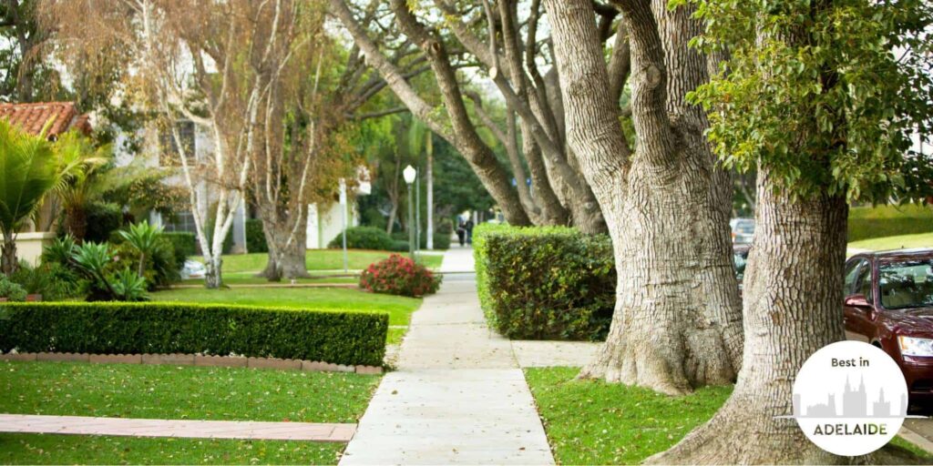 Which are the most expensive suburbs in Adelaide to live in