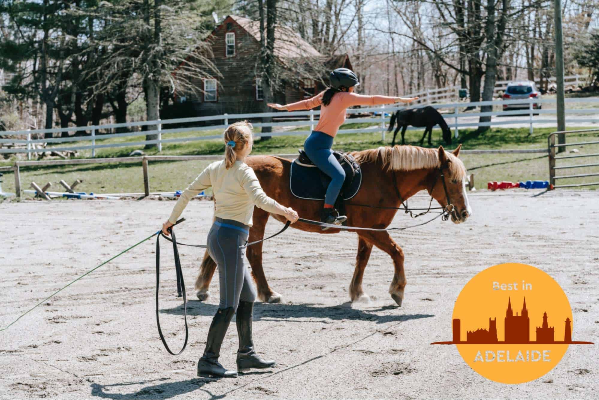 Saddle Up! Top 5 Horse Riding Lessons near Adelaide's Homepage