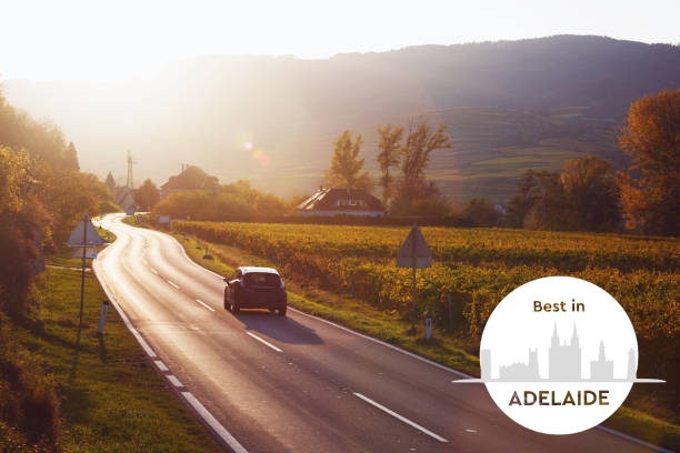 Mountain road - road through the vineyards at sunset. Wachau Valley"