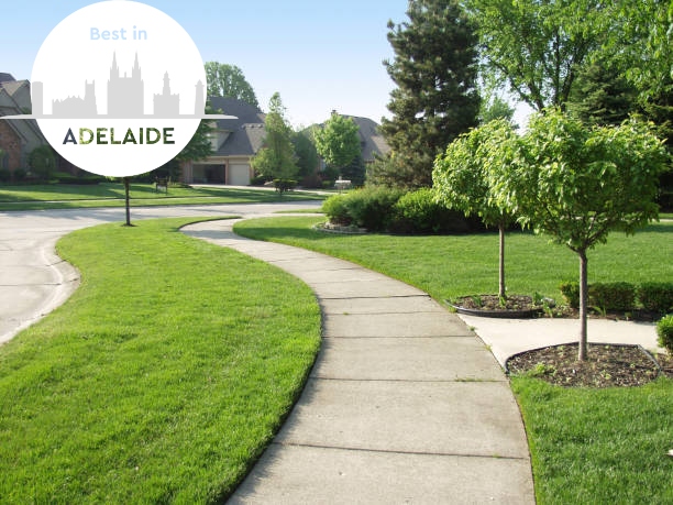 A sunny morning on a typical american suburban sidewal