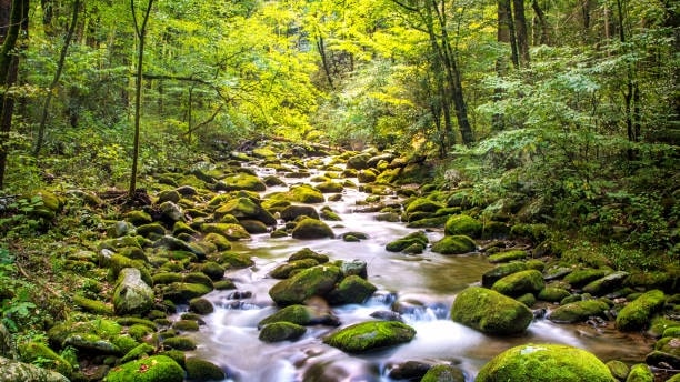 Hike the “Go. See. Play.” Trail 5 of Cobbler Creek