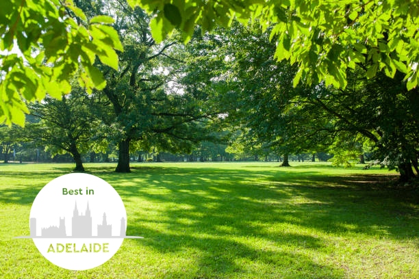 Mitcham Reserve: Your Retreat for Relaxation and Play