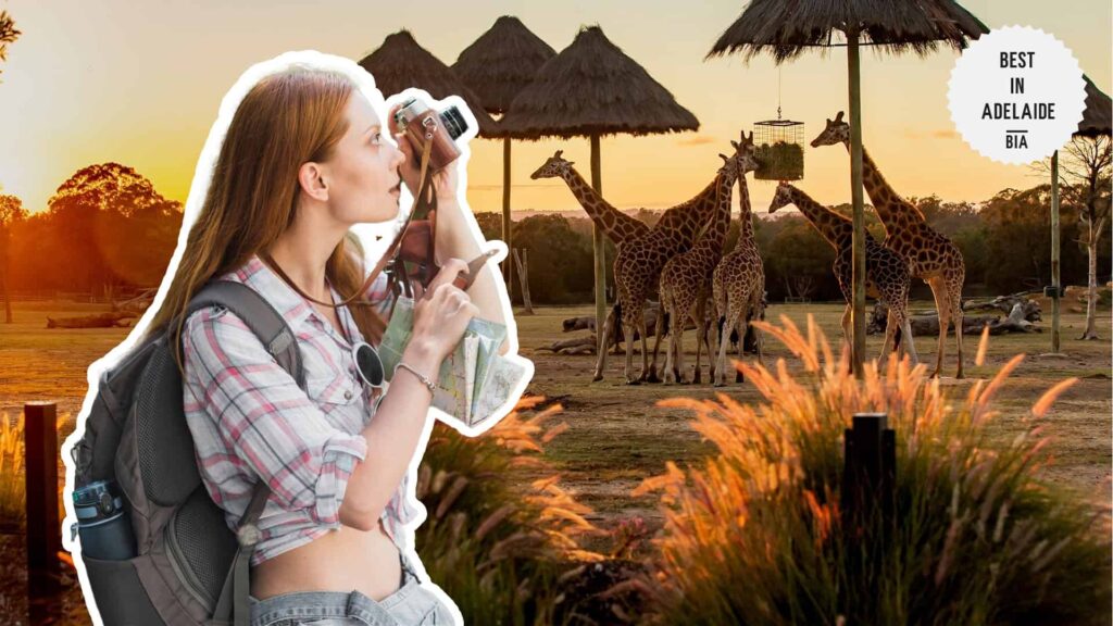 get-up-close-to-endangered-animals-and-visit-an-old-prison-dubbo