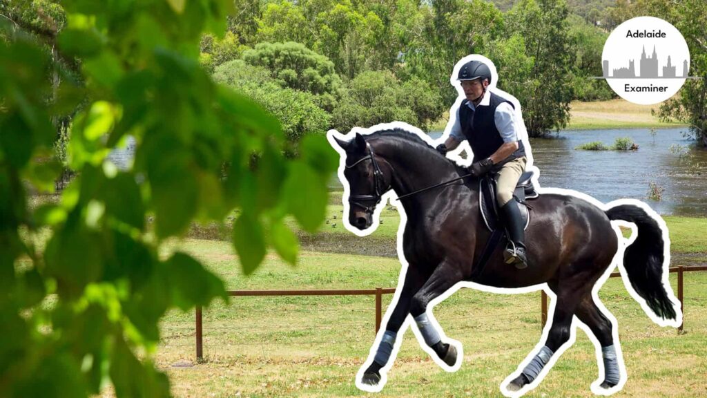look-for-gold-and-ride-horses-bingara