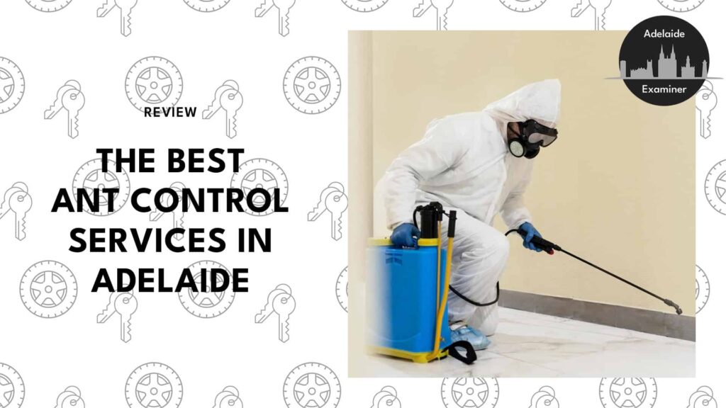 person-using-pest-control