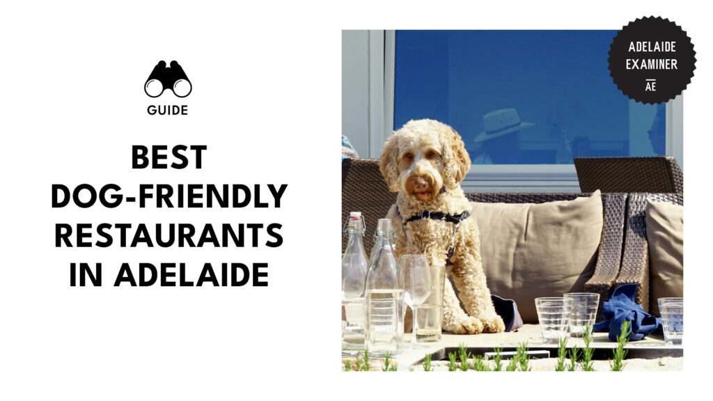 best-dog-friendly-restaurants-adelaide-banner