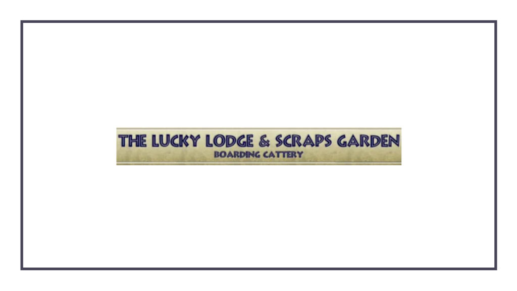 lucky-lodge-&-scraps-garden-boarding-cattery