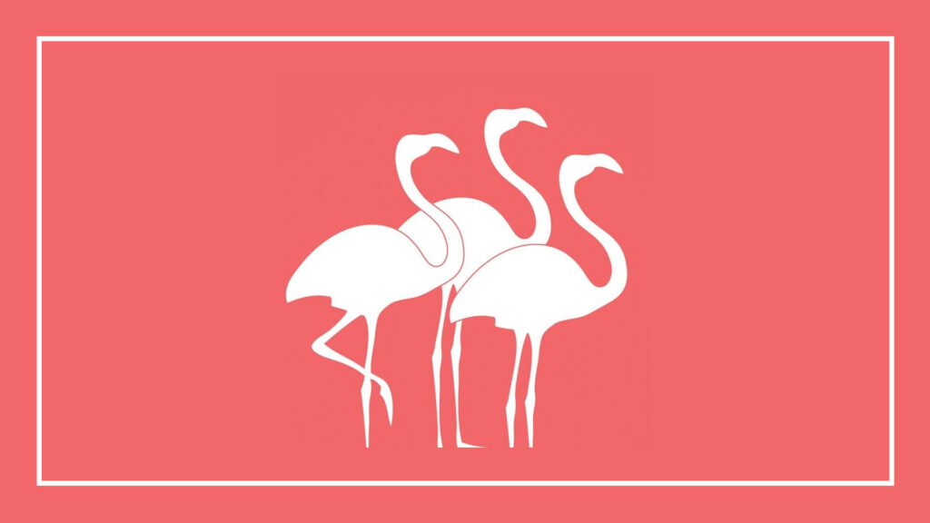 flamboyance-tours