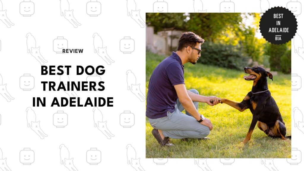 dog-trainer