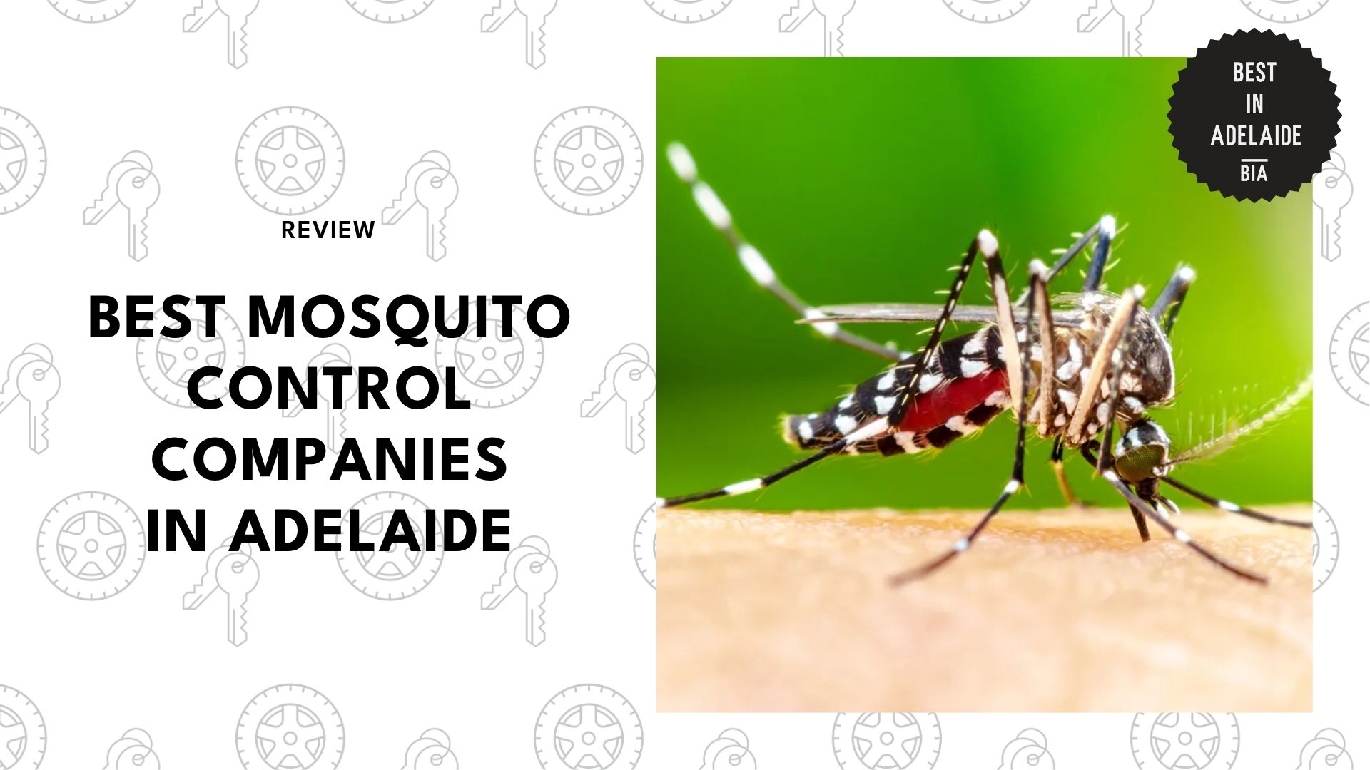 mosquito-control