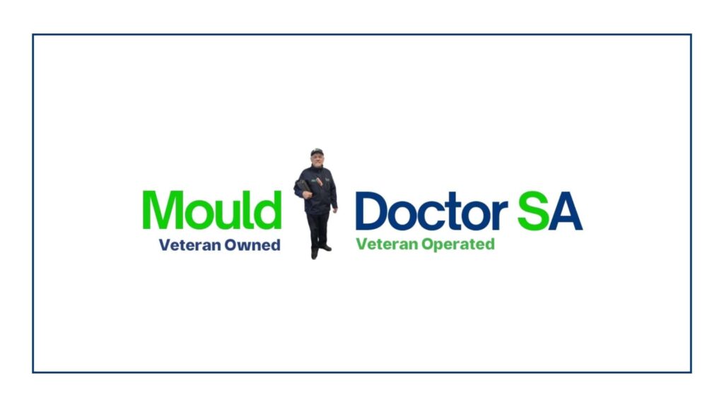 mould-doctor