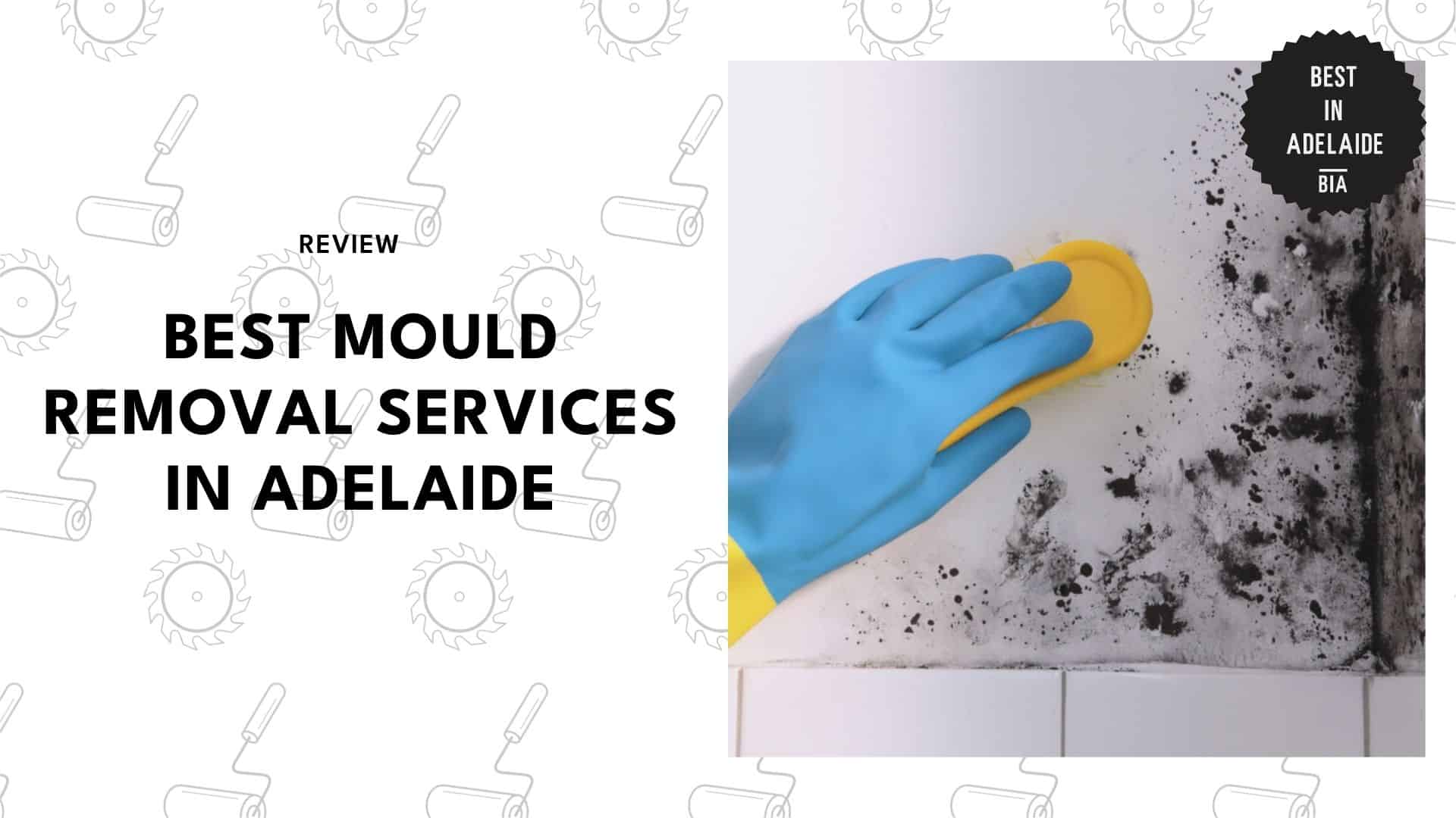 mould-removal-experts-in-adelaide